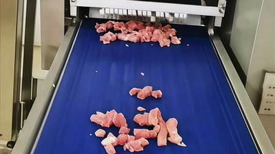 Boneless Meat Dicing Line for Advanced Food Technology (Thailand)