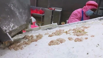 Fresh Meat Strip Cutter for Customer in Costa Rica