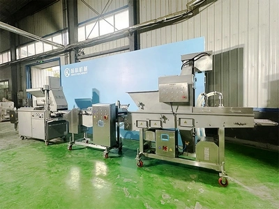 Automatic Meat Forming, Battering & Breading Line