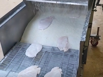 Breading chicken cutlets