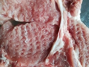 Rib meat tenderizing