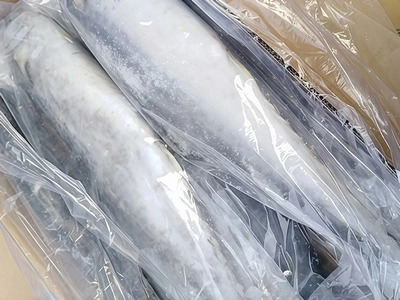 Ice glazing for fish