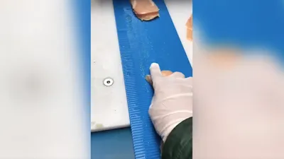 Fresh Meat Slicing Machine